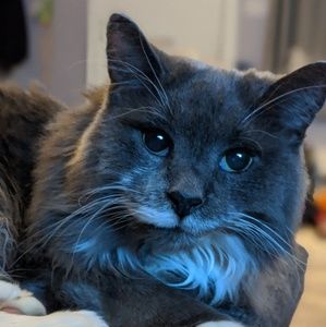 Meet your Posher, Treasa